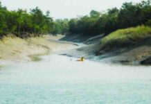 Sundarban National Park Ultimate Wonder – Eco Paradise Sundarban National Park