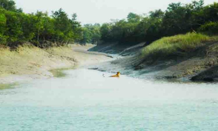 Sundarban National Park Sundarban National Park