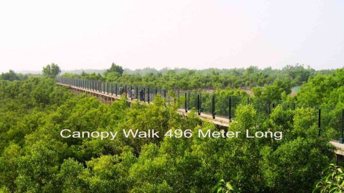 Sundarban Package Tour Sundarban Package Tour